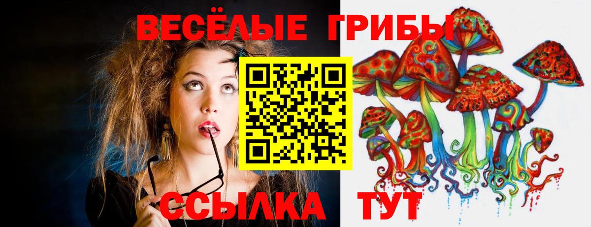 Галлюциногенные грибы мицелий  Вход с VPN  Черемхово  Галлюциногенные грибы Psilocybe 